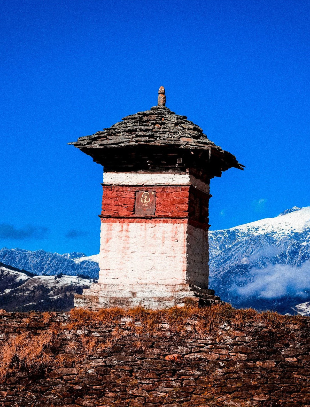 phobjikha